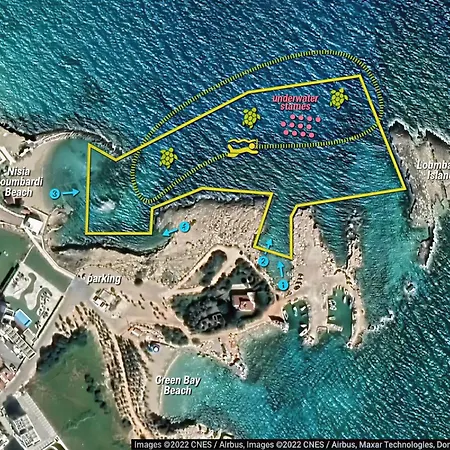 Seaturtle House